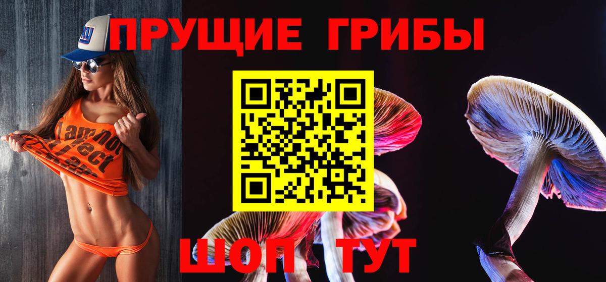 Алексеевка  Псилоцибиновые грибы мухоморы  Вход с VPN 