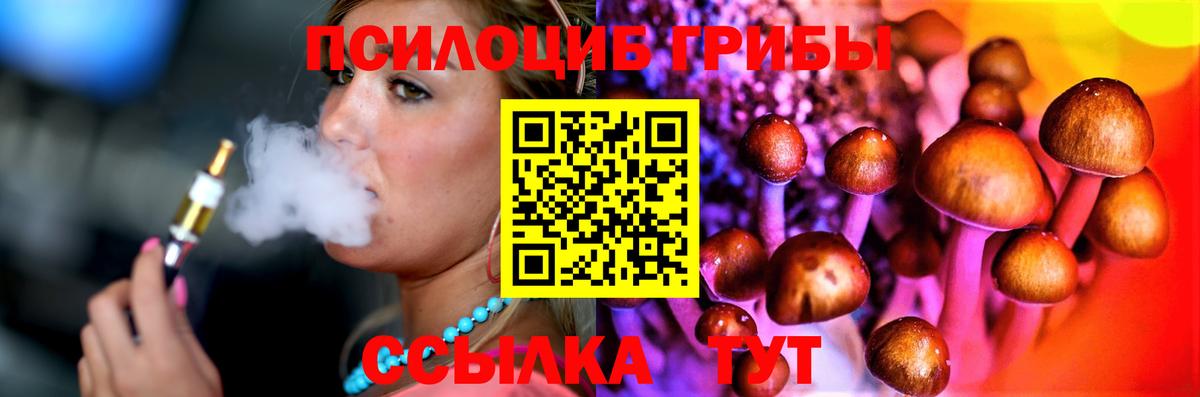 Псилоцибиновые грибы Psilocybine cubensis Алексеевка